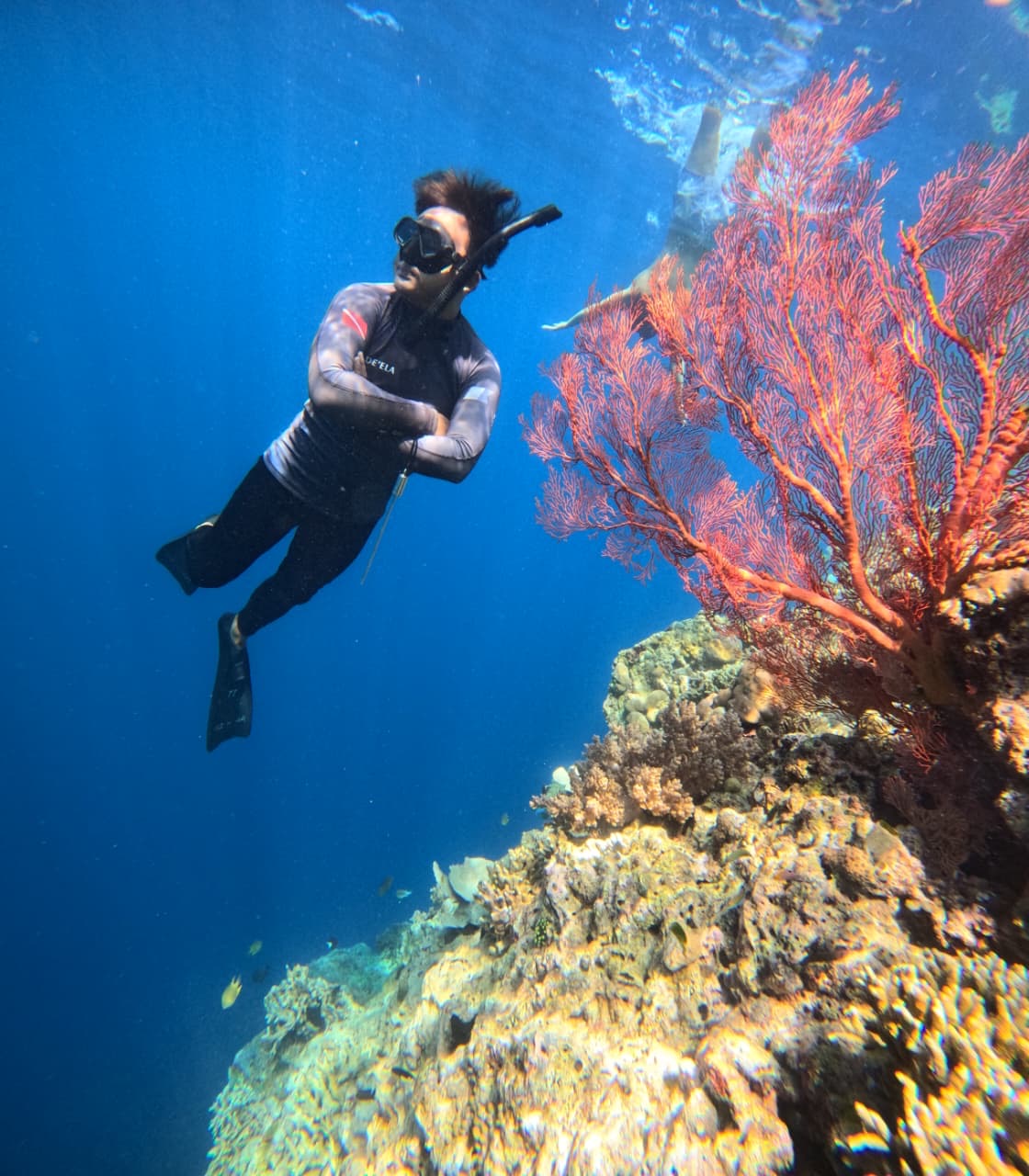 Snorkeler exploring Menjangan coral reef